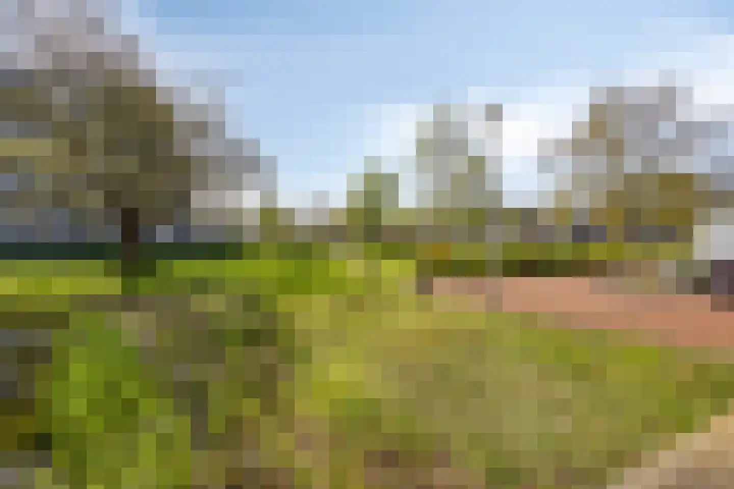 Koninginneweg 423 Bodegraven thumbnail 35