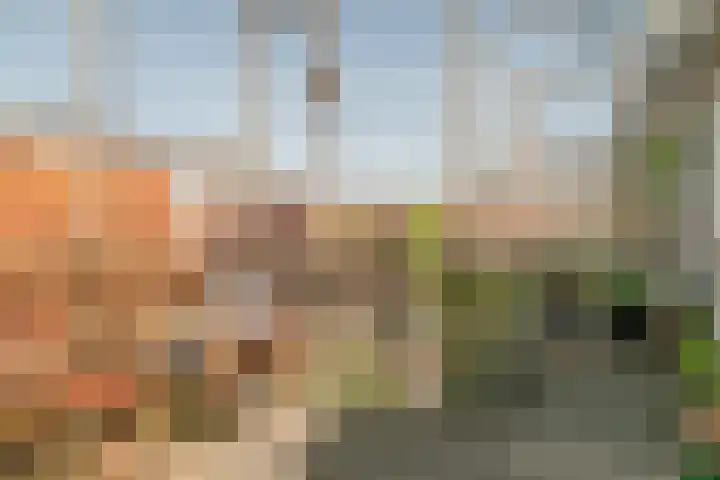Koninginneweg 44 RD Haarlem thumbnail 22