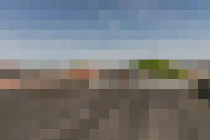 Koninginneweg 44 RD Haarlem thumbnail 34