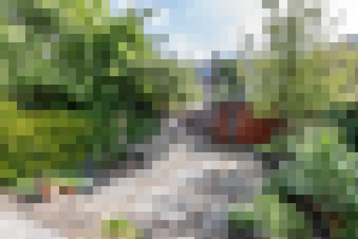 Koninginneweg 47 Haarlem thumbnail 22