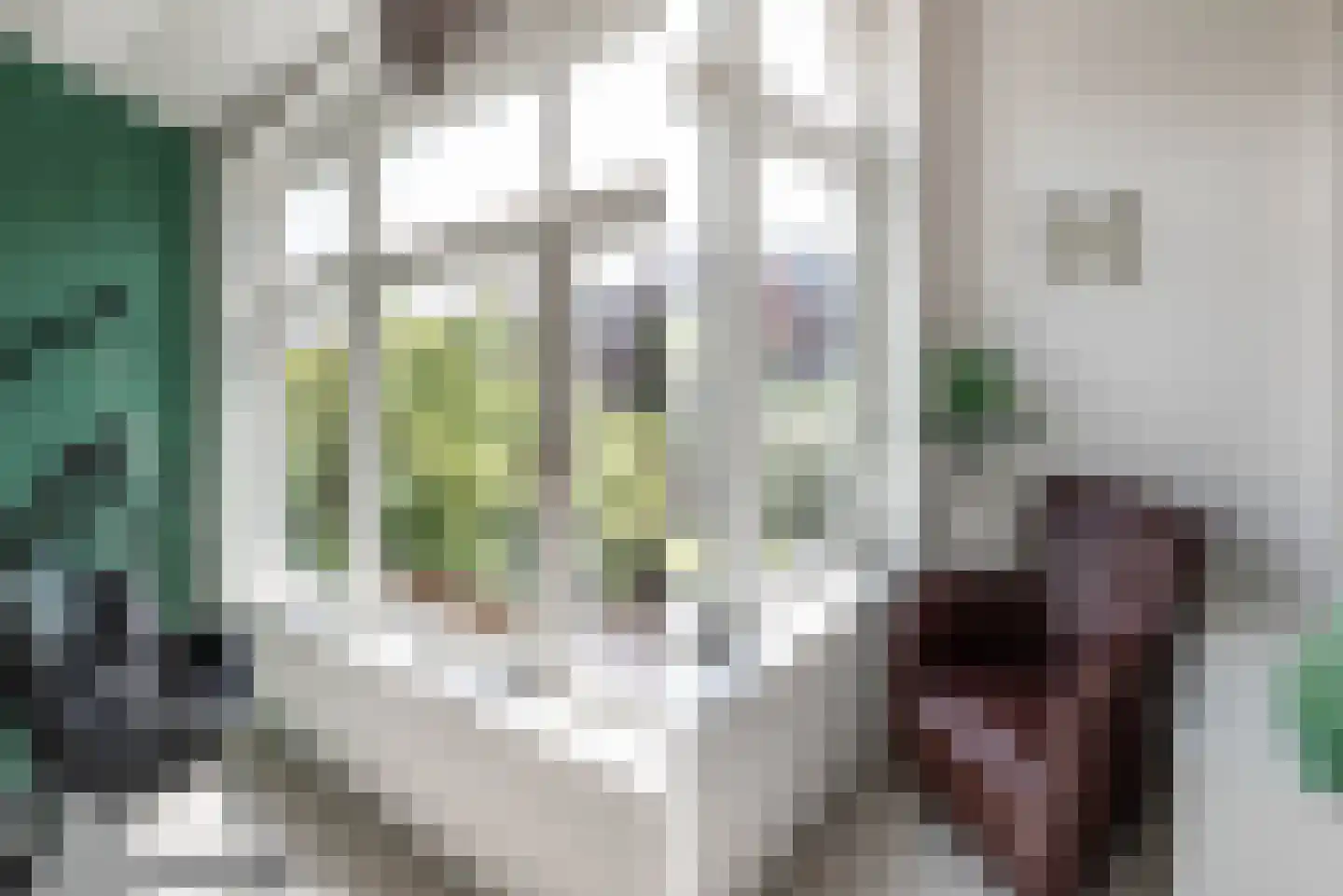Koninginneweg 47 Haarlem thumbnail 28