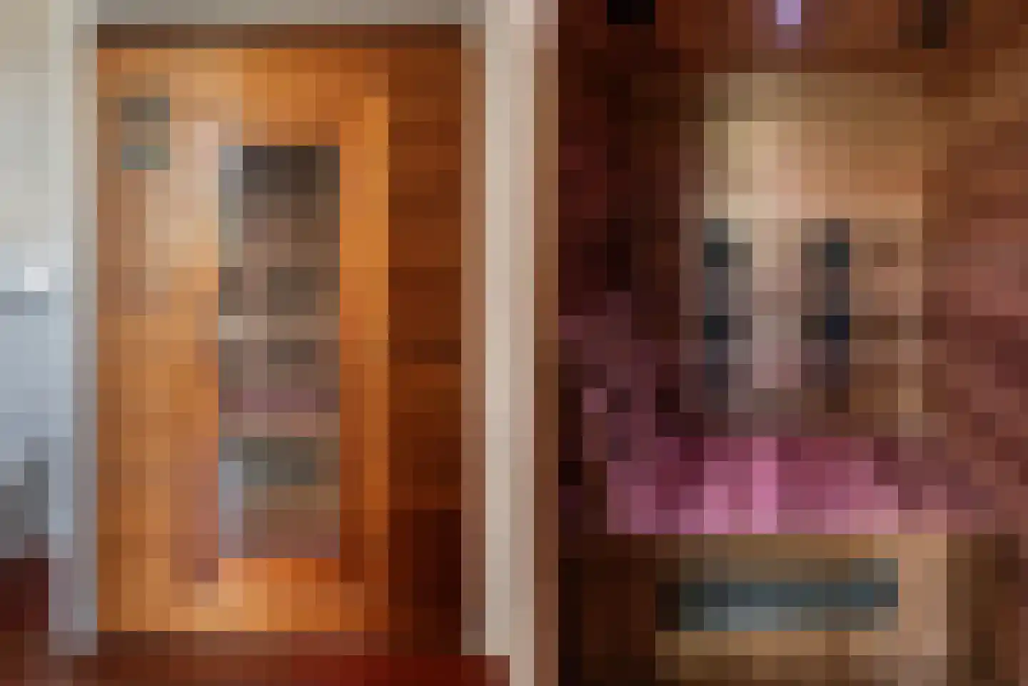 Koninginneweg 47 Haarlem thumbnail 33
