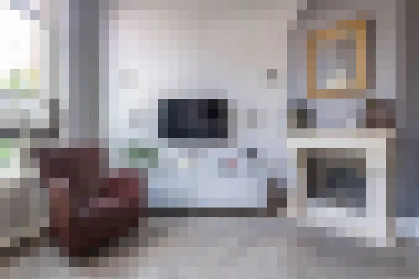 Koninginneweg 47 Haarlem thumbnail 6