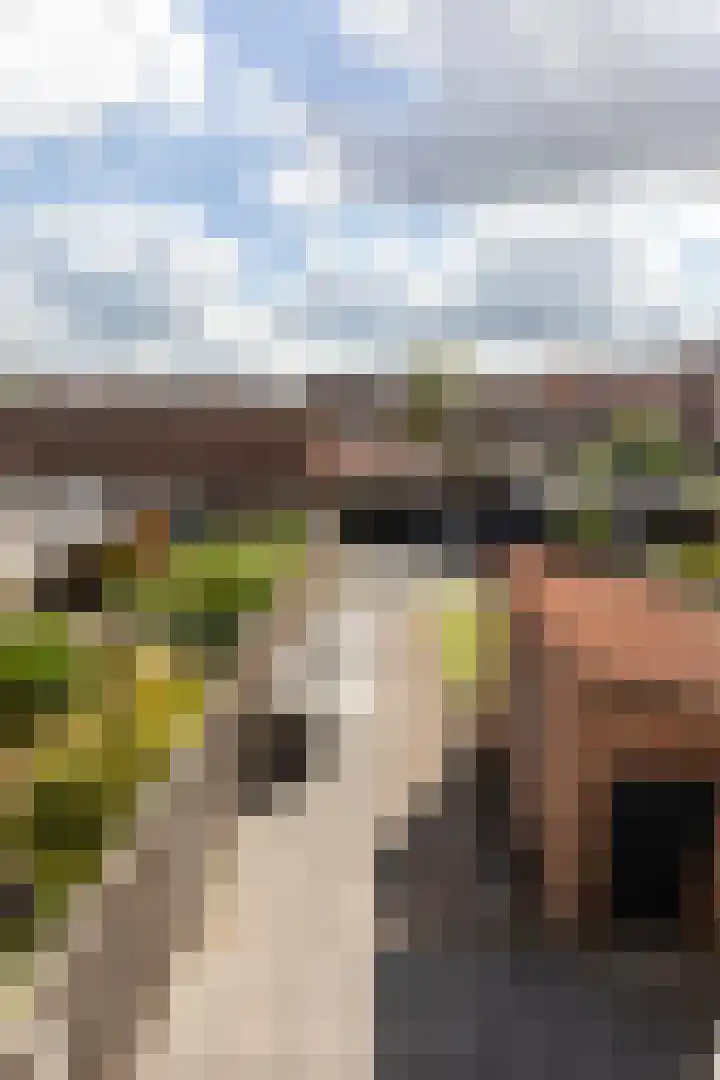Koninginneweg 48 Zwijndrecht thumbnail 34