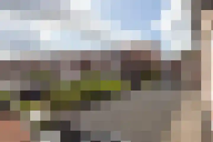 Koninginneweg 48 Zwijndrecht thumbnail 35