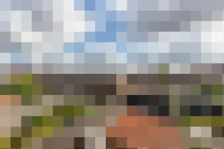 Koninginneweg 48 Zwijndrecht thumbnail 36