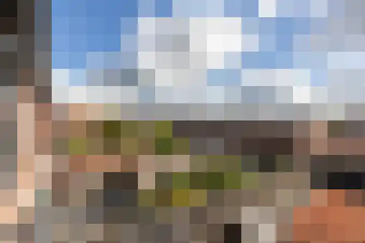 Koninginneweg 48 Zwijndrecht thumbnail 37