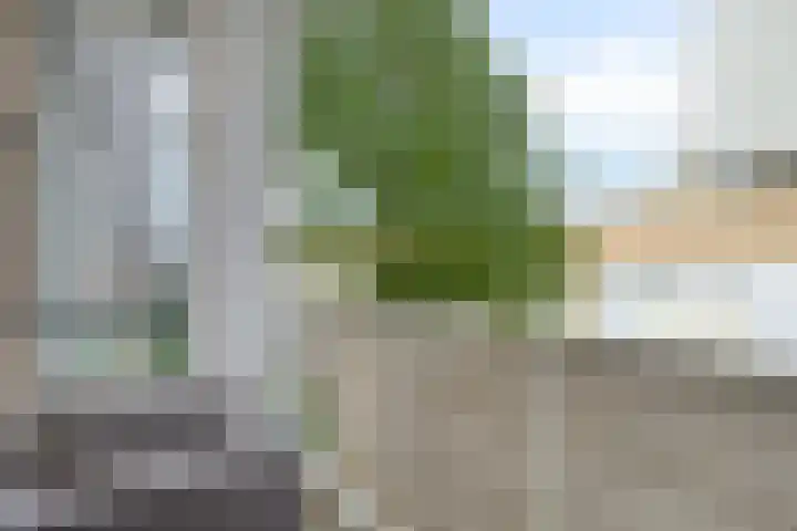 Koninginneweg 5 Lisse thumbnail 13
