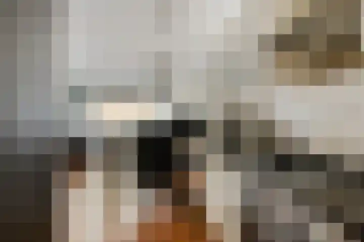 Koninginneweg 5 Lisse thumbnail 8