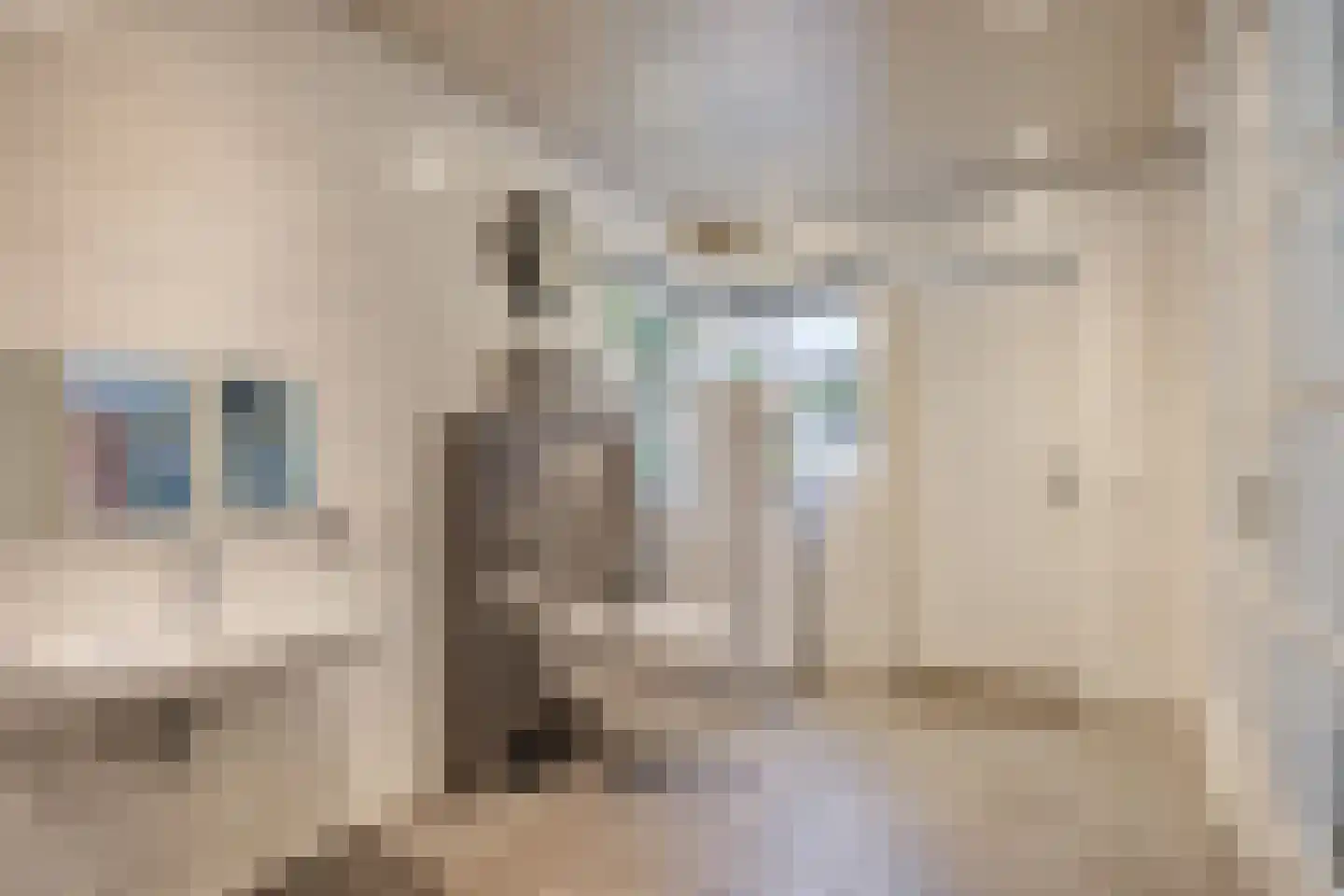 Koninginneweg 5 Vaassen thumbnail 17