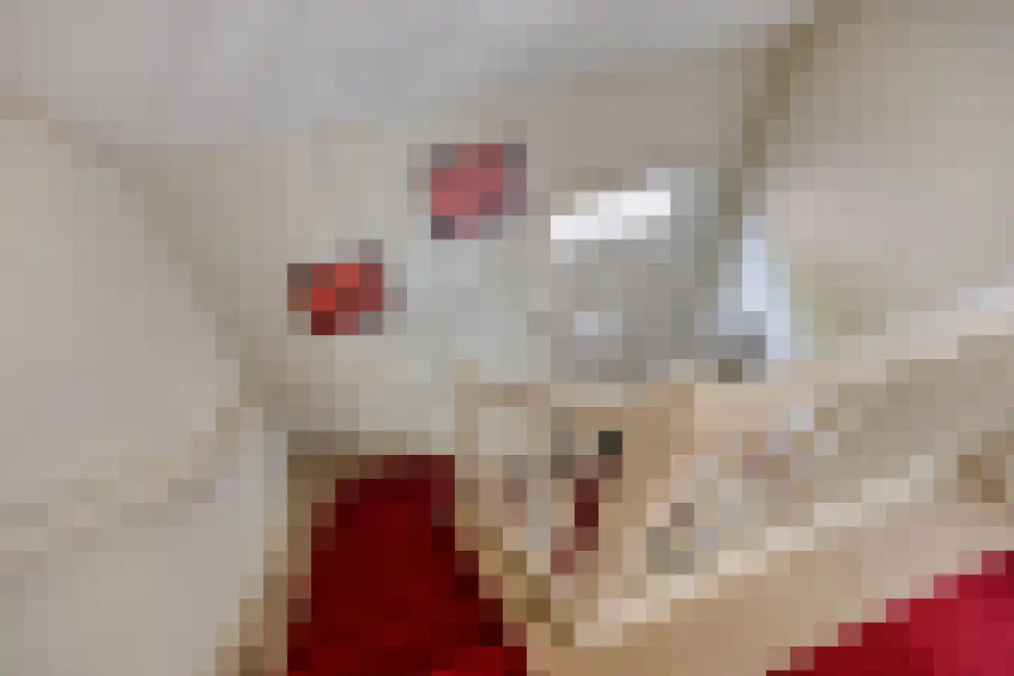 Koninginneweg 5 Vaassen thumbnail 18