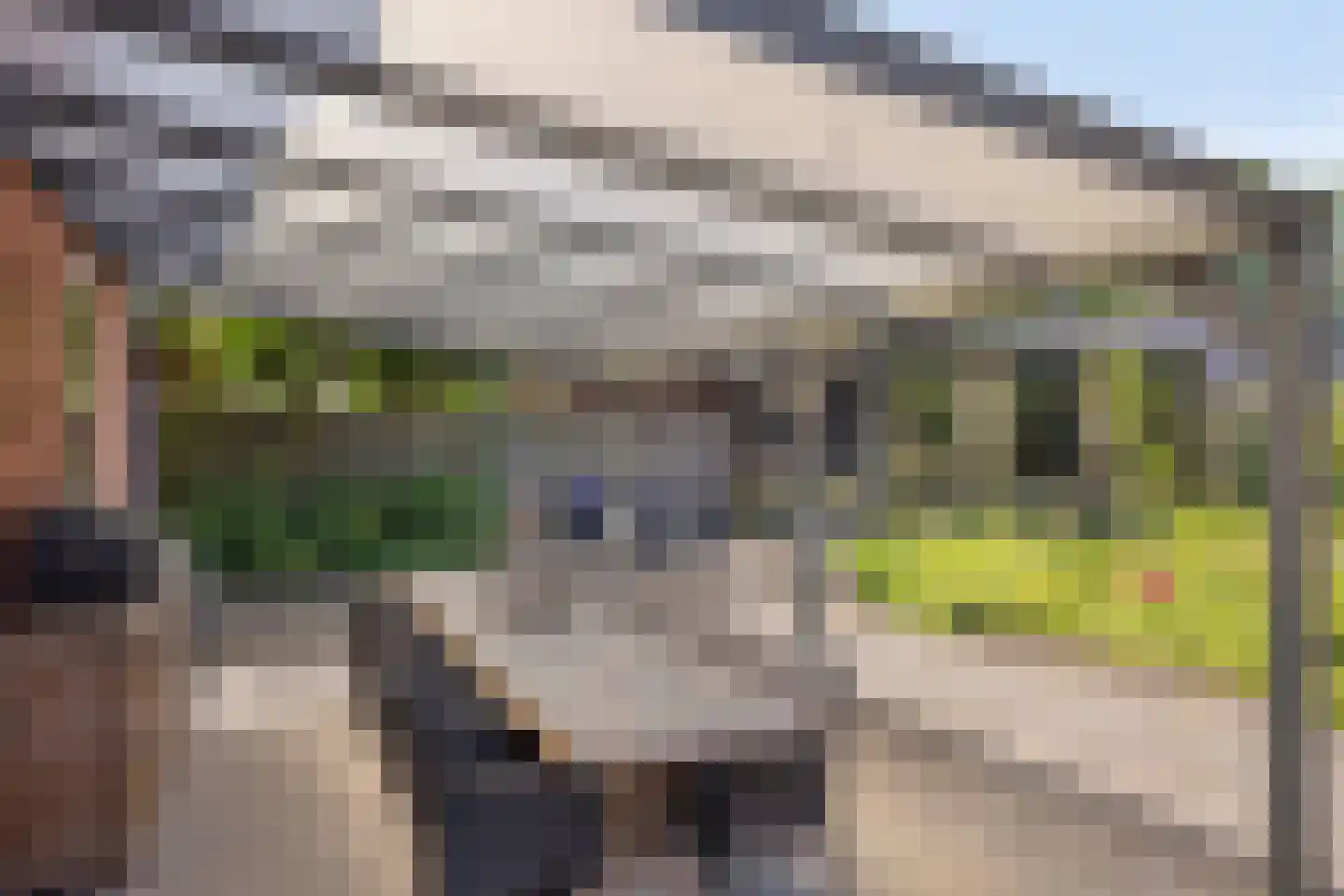 Koninginneweg 5 Vaassen thumbnail 30