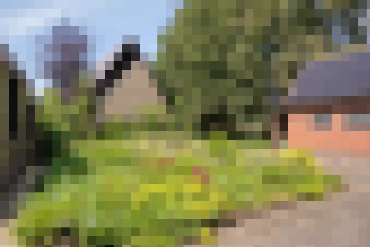 Koninginneweg 5 Vaassen thumbnail 31