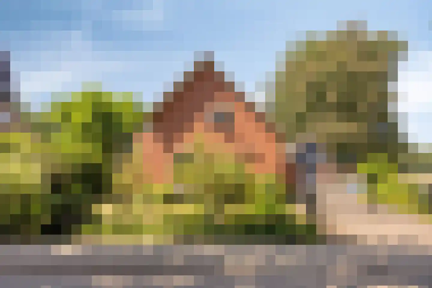 Koninginneweg 5 Vaassen thumbnail 37