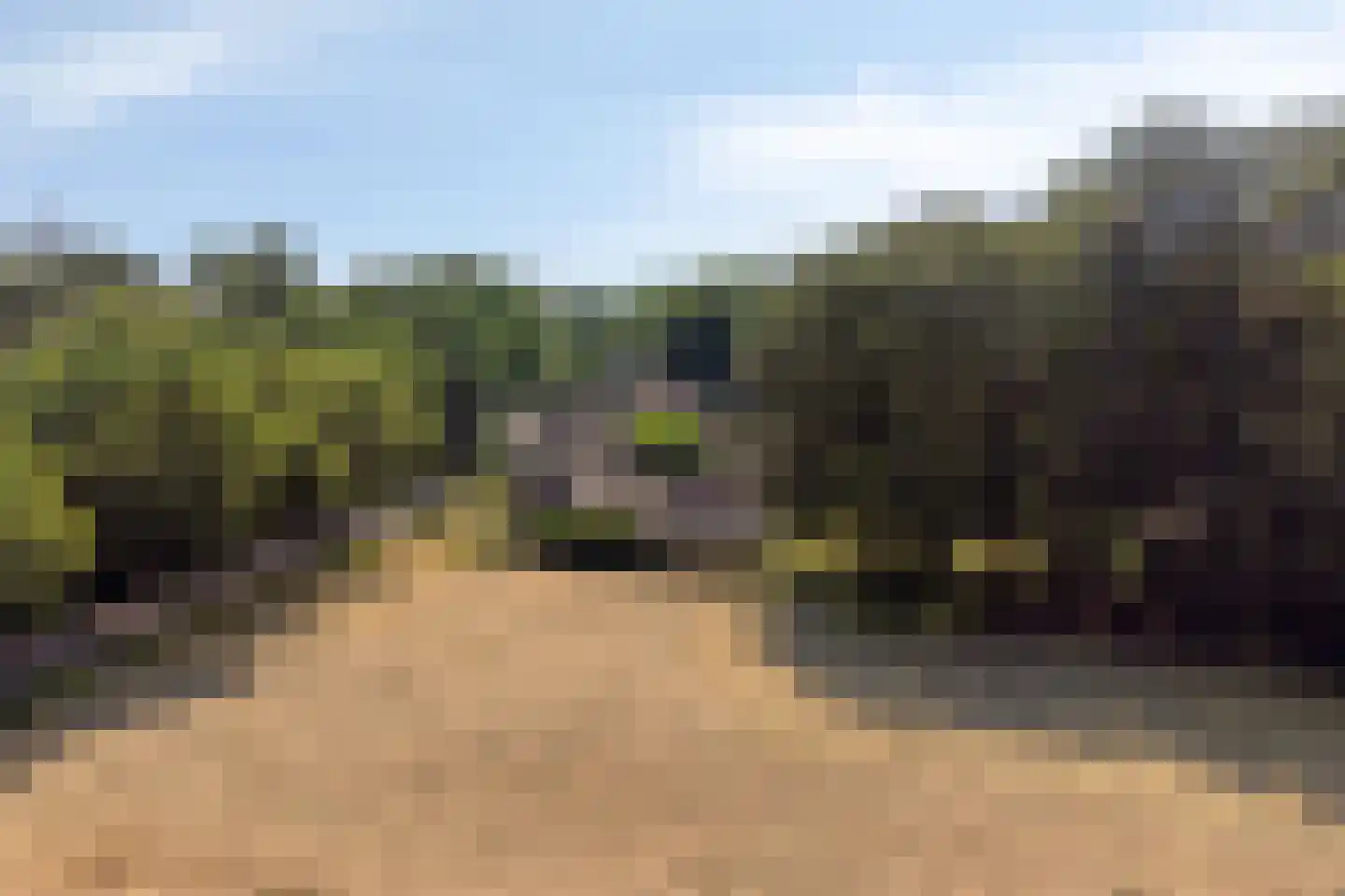 Koninginneweg 5 Vaassen thumbnail 39