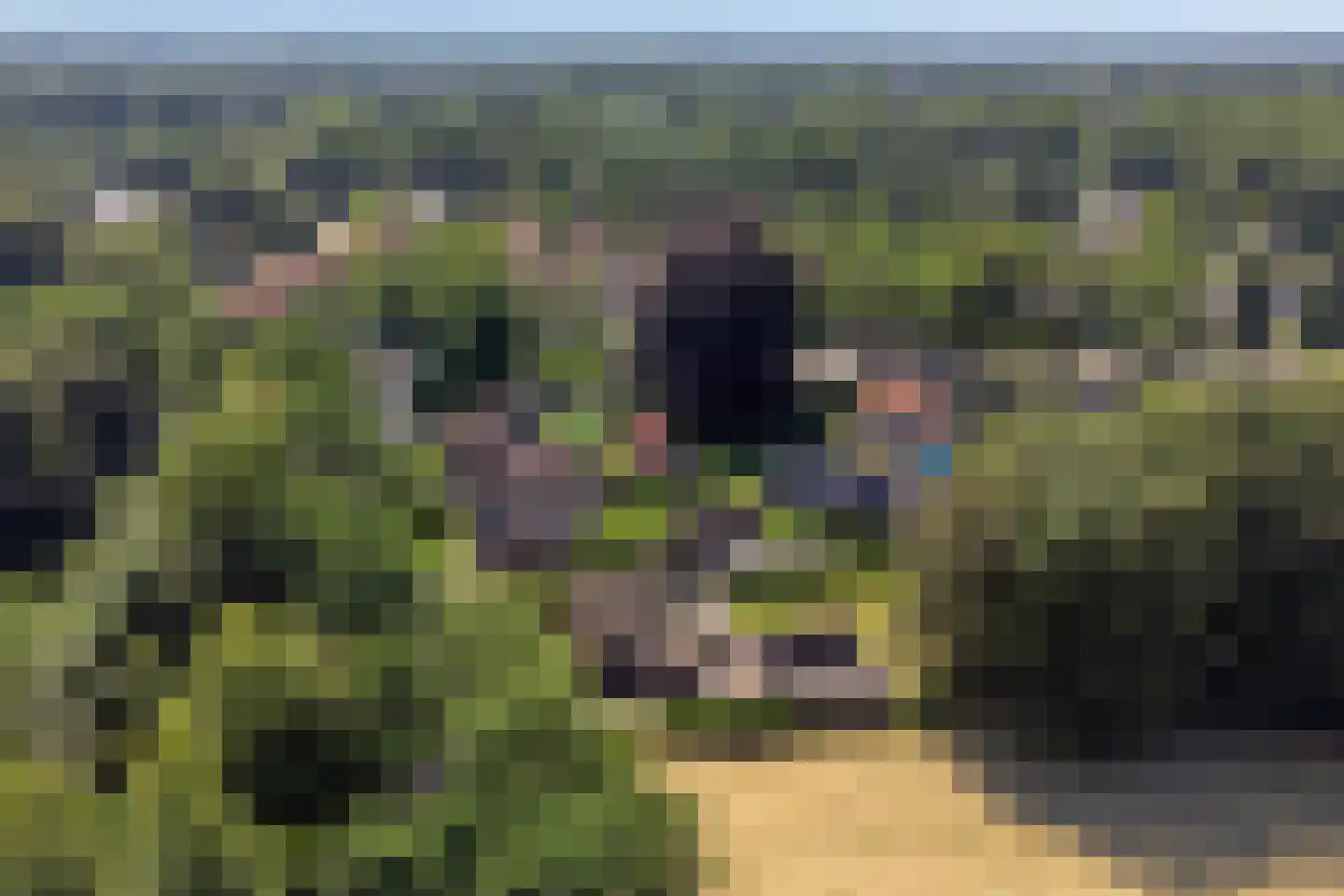 Koninginneweg 5 Vaassen thumbnail 40