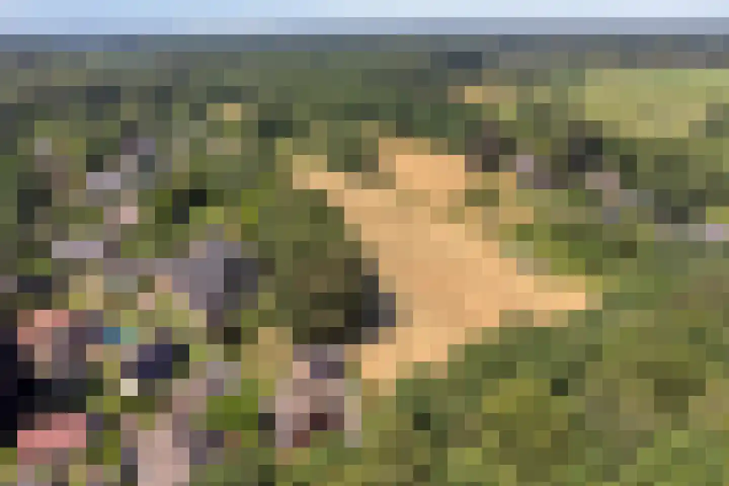 Koninginneweg 5 Vaassen thumbnail 41