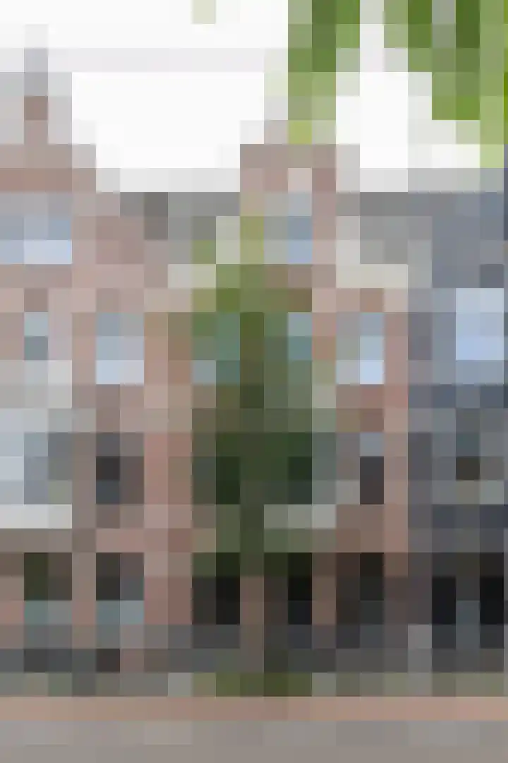Koninginneweg 51 H Amsterdam