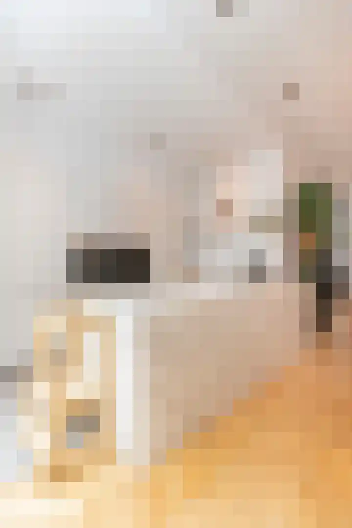Koninginneweg 51 H Amsterdam thumbnail 12