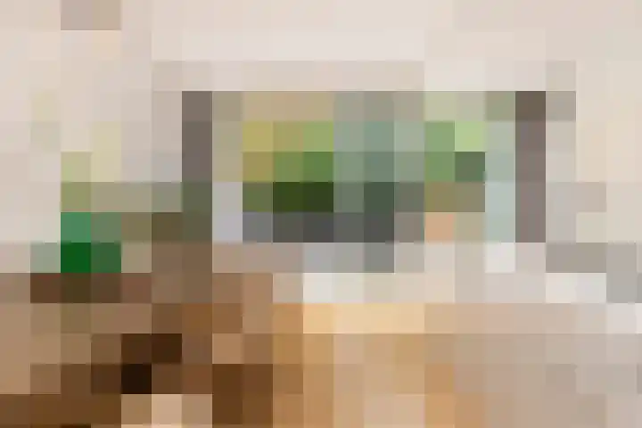 Koninginneweg 51 H Amsterdam thumbnail 16
