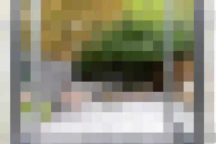 Koninginneweg 51 H Amsterdam thumbnail 17