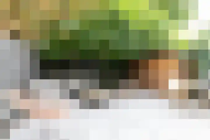 Koninginneweg 51 H Amsterdam thumbnail 18
