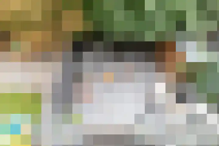 Koninginneweg 51 H Amsterdam thumbnail 19