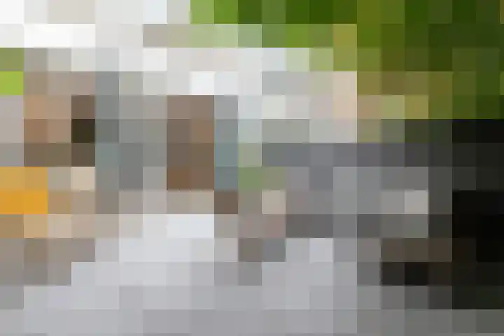 Koninginneweg 51 H Amsterdam thumbnail 20