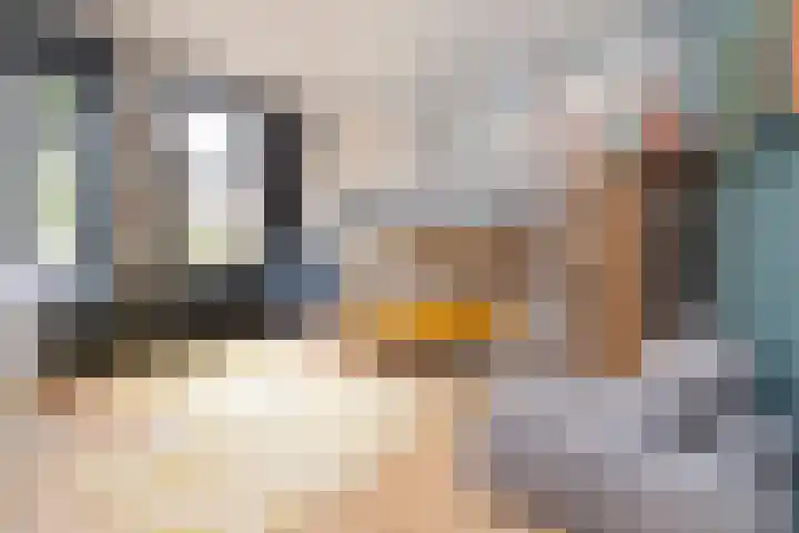 Koninginneweg 51 H Amsterdam thumbnail 32