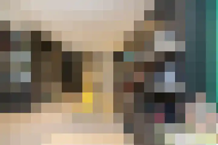 Koninginneweg 51 H Amsterdam thumbnail 37