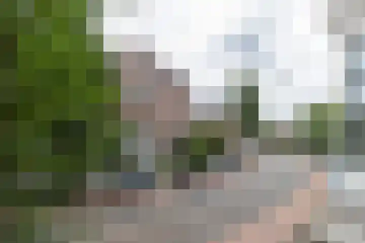 Koninginneweg 51 H Amsterdam thumbnail 39