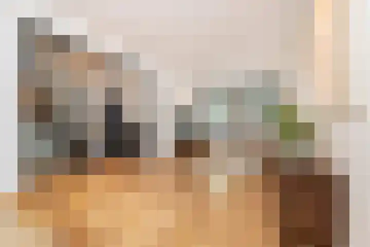 Koninginneweg 51 H Amsterdam thumbnail 4