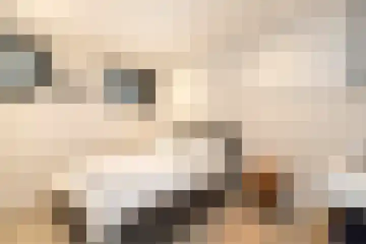 Koninginneweg 51 H Amsterdam thumbnail 44