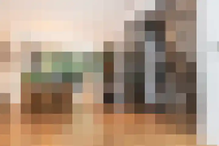 Koninginneweg 51 H Amsterdam thumbnail 5
