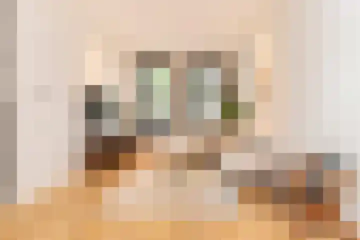 Koninginneweg 51 H Amsterdam thumbnail 6