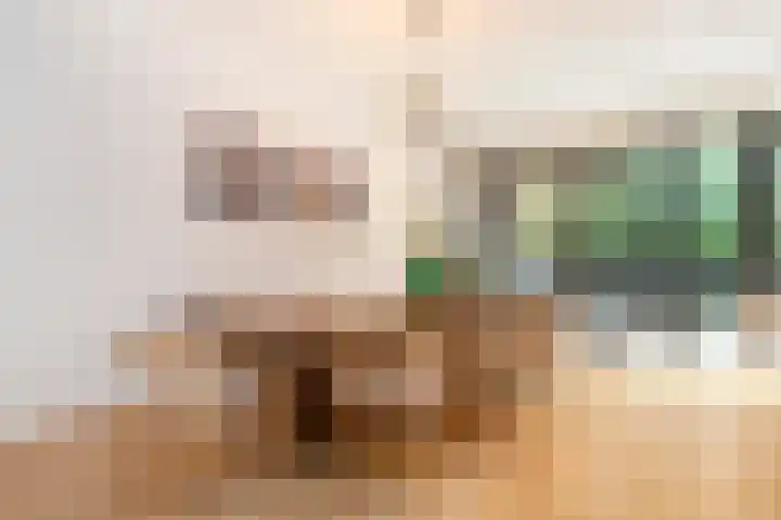 Koninginneweg 51 H Amsterdam thumbnail 8