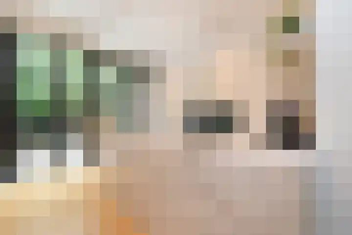 Koninginneweg 51 H Amsterdam thumbnail 9