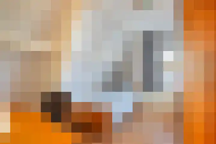 Koninginneweg 55 Oud-Beijerland thumbnail 31