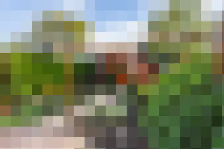 Koninginneweg 55 Oud-Beijerland thumbnail 36