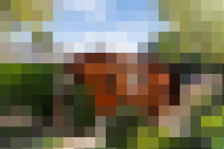 Koninginneweg 55 Oud-Beijerland thumbnail 38