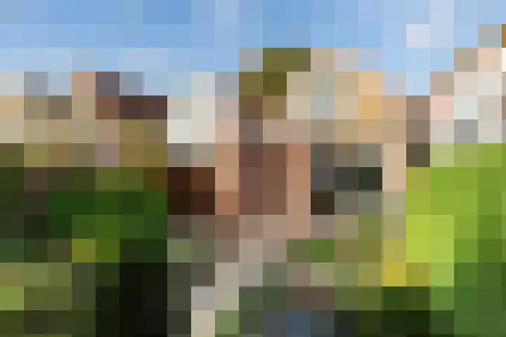 Koninginneweg 55 Oud-Beijerland thumbnail 39