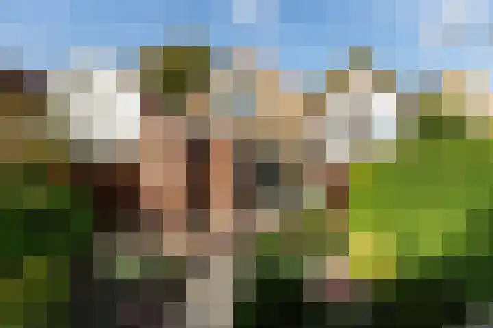 Koninginneweg 55 Oud-Beijerland thumbnail 40