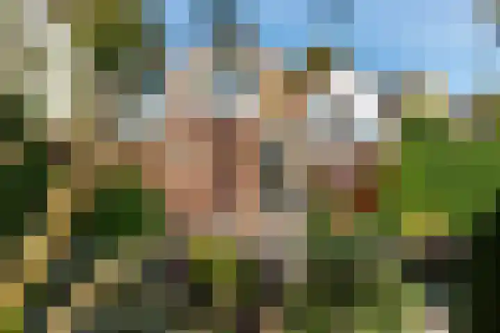 Koninginneweg 55 Oud-Beijerland thumbnail 41