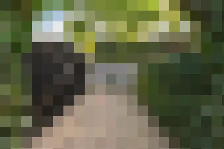 Koninginneweg 55 Oud-Beijerland thumbnail 42