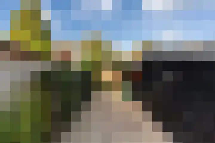 Koninginneweg 55 Oud-Beijerland thumbnail 43