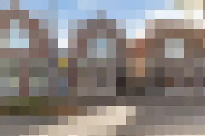 Koninginneweg 55 Oud-Beijerland thumbnail 46
