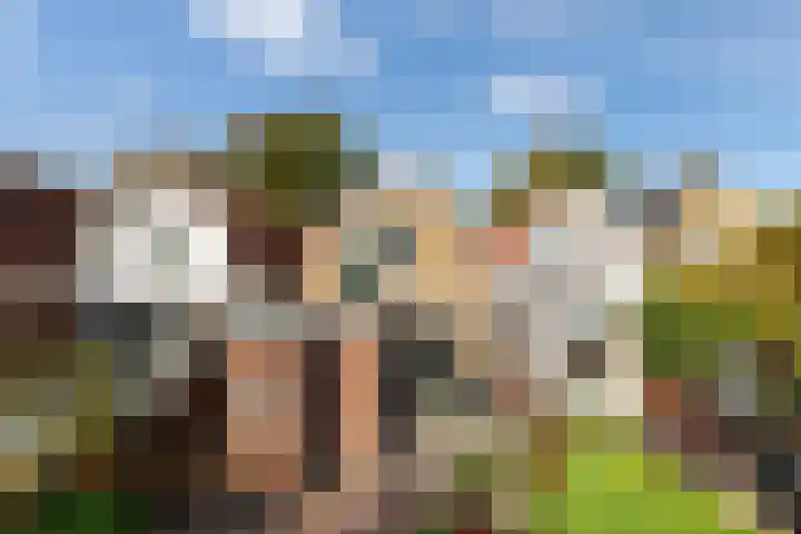 Koninginneweg 55 Oud-Beijerland thumbnail 47