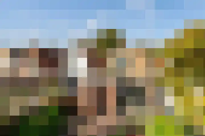 Koninginneweg 55 Oud-Beijerland thumbnail 48