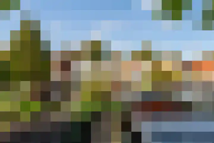 Koninginneweg 55 Oud-Beijerland thumbnail 49