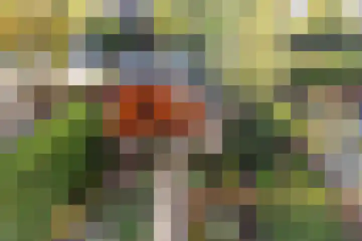 Koninginneweg 55 Oud-Beijerland thumbnail 50